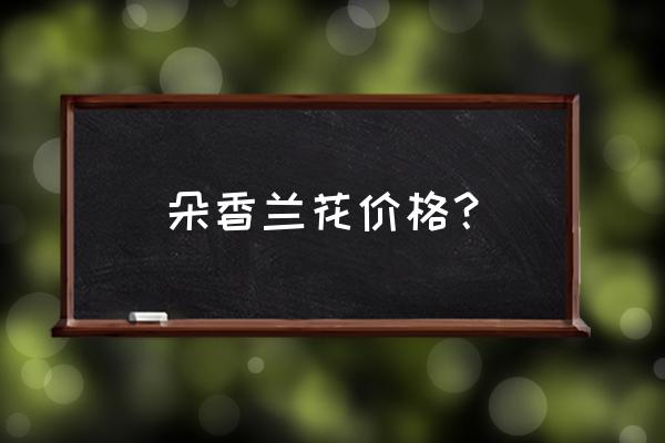 兰花朵香最值钱的有几种 朵香兰花价格？