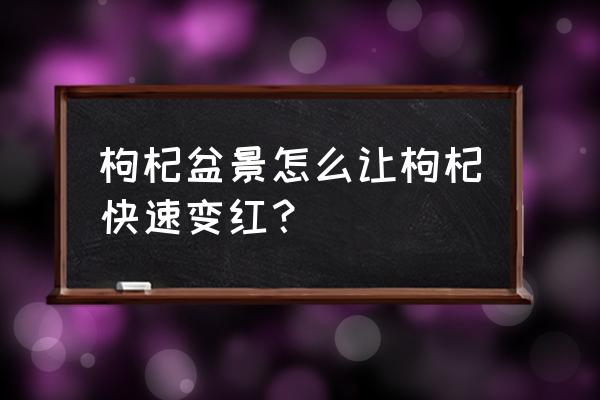 盘栽枸杞发芽时可施复合肥吗 枸杞盆景怎么让枸杞快速变红？