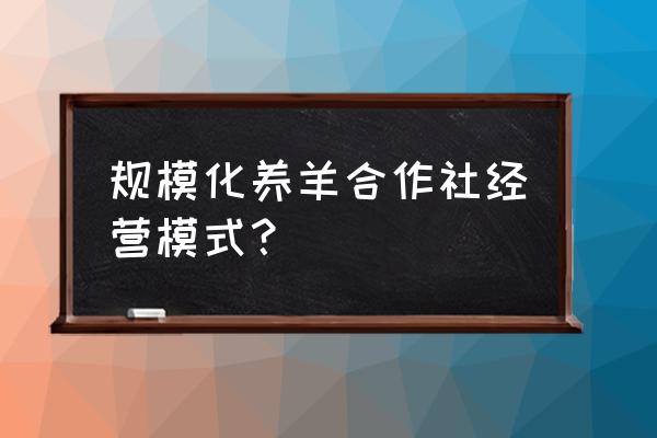 养羊合作社怎么经营 规模化养羊合作社经营模式？