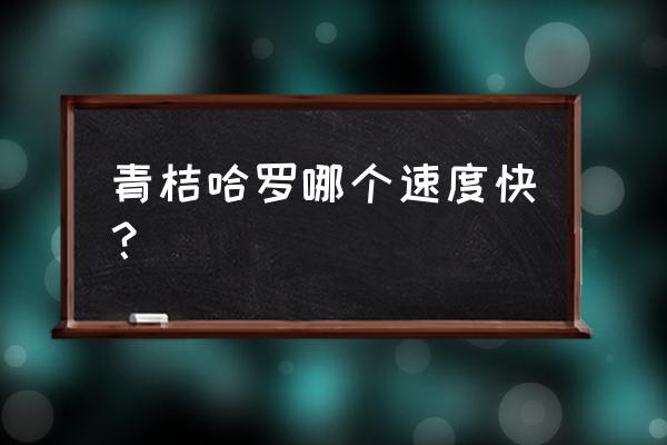 哪个共享单车最方便 青桔哈罗哪个速度快？