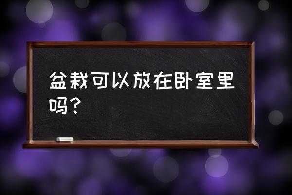 盆栽桔子树能放卧室吗 盆栽可以放在卧室里吗？