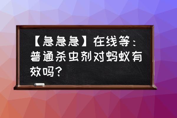 黑猫神杀虫剂能杀蚂蚁吗 【急急急】在线等：普通杀虫剂对蚂蚁有效吗？