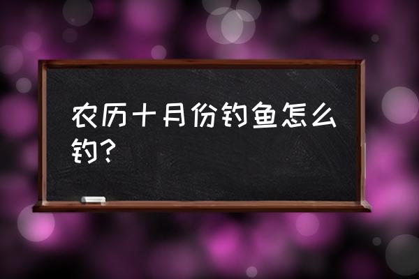 十月份抛杆用什么鱼饵 农历十月份钓鱼怎么钓?