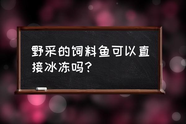 赤山哪里有冷冻饲料鱼批发市场 野采的饲料鱼可以直接冰冻吗？