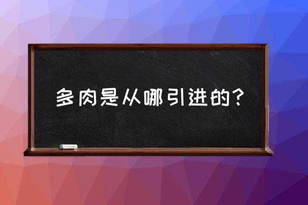 非洲有多肉植物吗 多肉是从哪引进的？