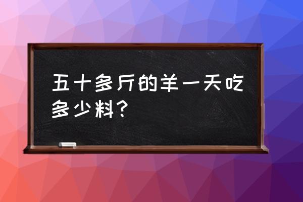 羊的饲料多长时间达到五五 五十多斤的羊一天吃多少料？