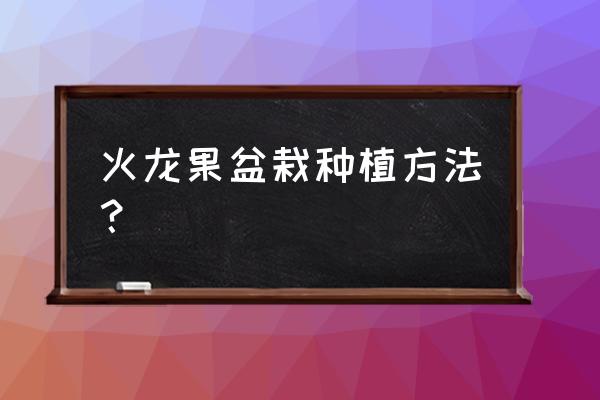 怎样在花盆种火龙果 火龙果盆栽种植方法？