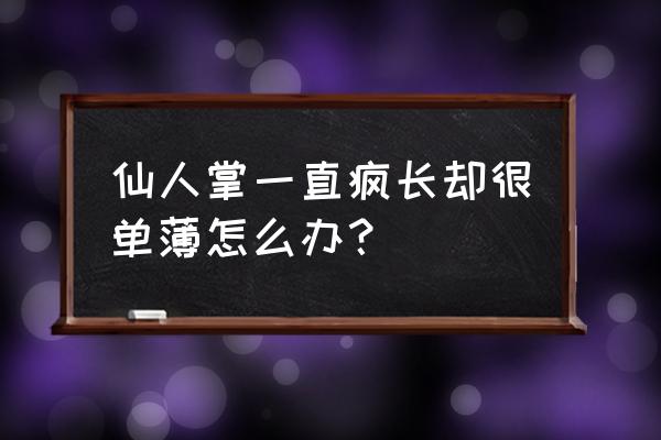 仙人掌长得不饱满怎么办 仙人掌一直疯长却很单薄怎么办？