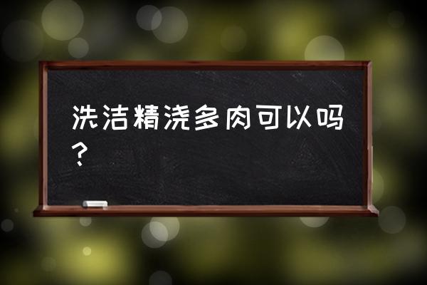 如何把洗洁精桶变成多肉花盆 洗洁精浇多肉可以吗？