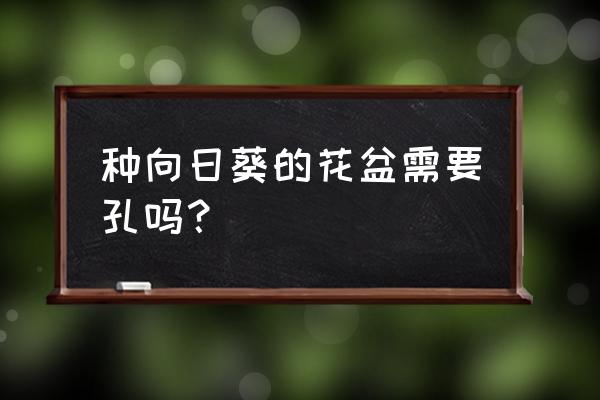 高向日葵需要多大花盆 种向日葵的花盆需要孔吗？