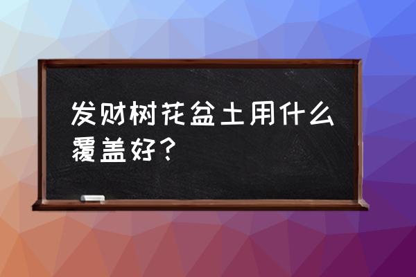 发财树能用树皮珍珠岩做土吗 发财树花盆土用什么覆盖好？