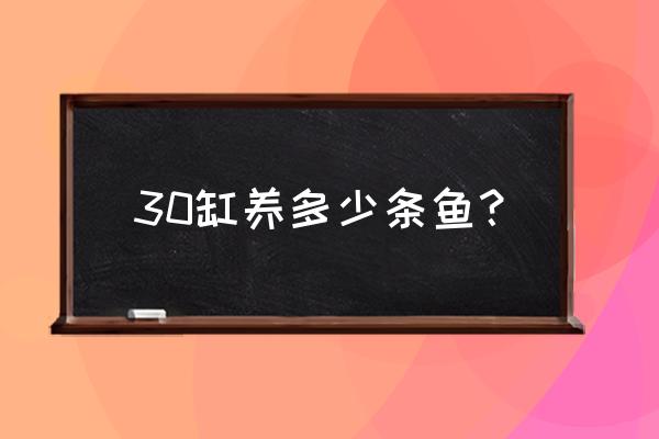 新手求教30缸该养多少鱼和虾 30缸养多少条鱼？