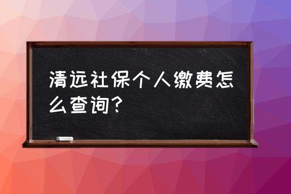 怎么查询清远社保 清远社保个人缴费怎么查询？