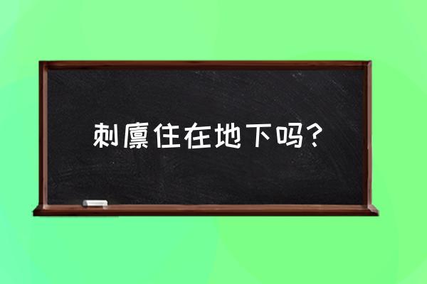 什么动物住在灌木丛 刺猬住在地下吗？