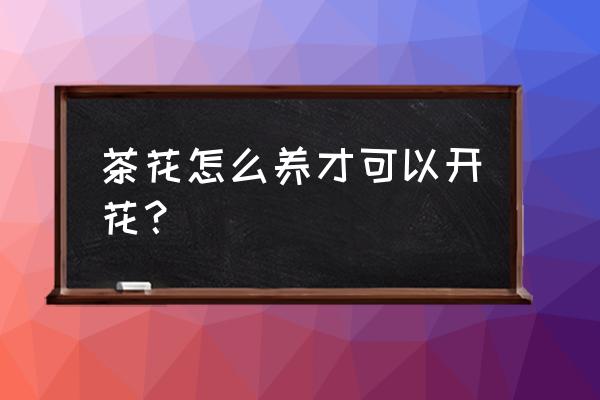 如何让山茶花开花 茶花怎么养才可以开花？