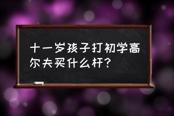 青少年高尔夫买什么球杆 十一岁孩子打初学高尔夫买什么杆？