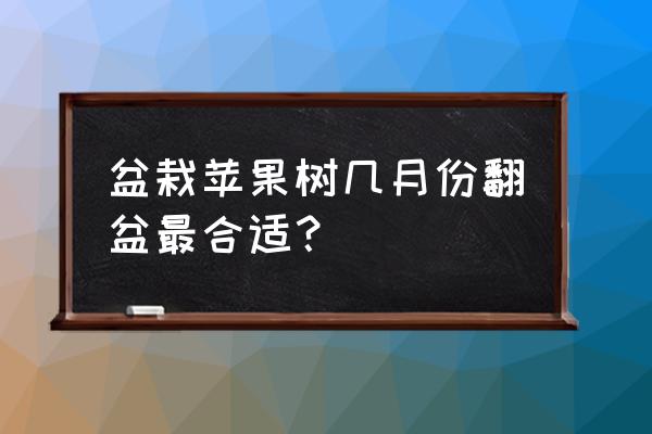 苹果盆景什么时候换盆 盆栽苹果树几月份翻盆最合适？