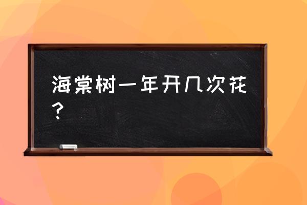 南昌金色年代海棠花开有什么服务 海棠树一年开几次花？