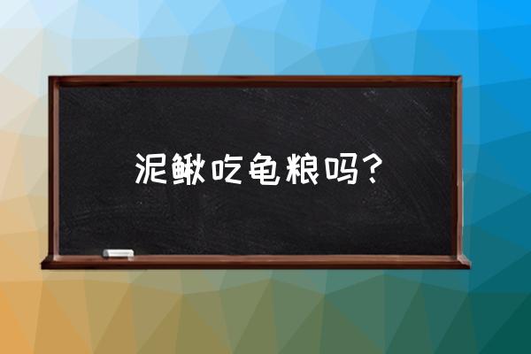 野生泥鳅能吃龟饲料吗 泥鳅吃龟粮吗？