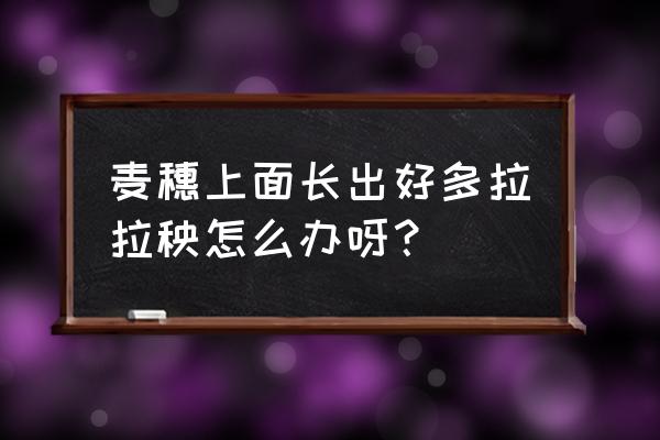 麦田里拉拉秧用什么除草剂用啥 麦穗上面长出好多拉拉秧怎么办呀？