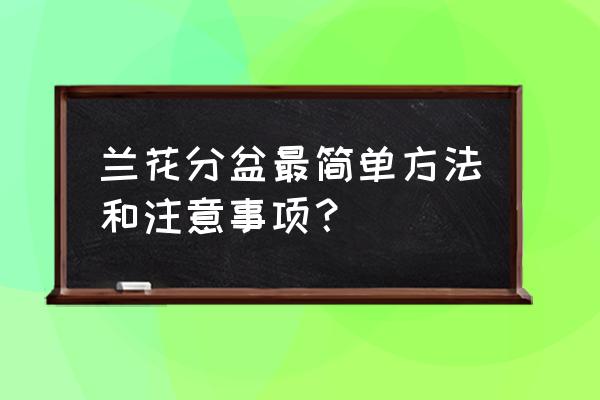 兰花根太多怎么分盆 兰花分盆最简单方法和注意事项？