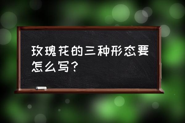 玫瑰花样子怎么写 玫瑰花的三种形态要怎么写？