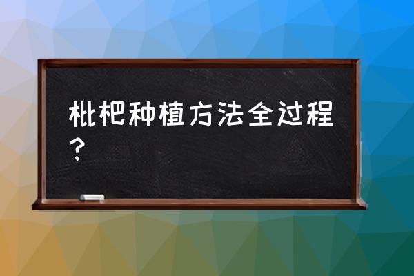 枇杷籽几月份种植技术 枇杷种植方法全过程？