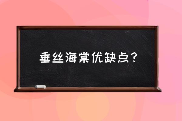 江苏宿迁的垂丝海棠好吗 垂丝海棠优缺点？