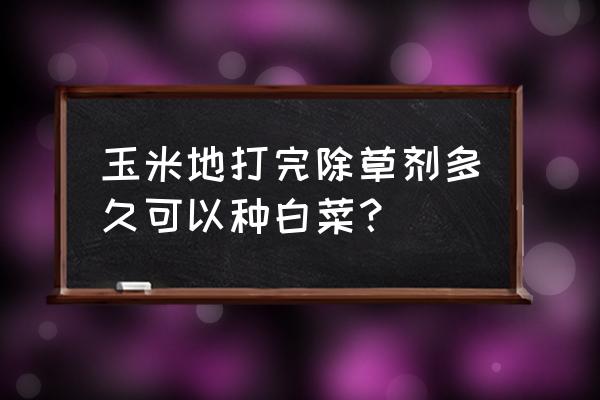 泰打除草剂能打白菜吗 玉米地打完除草剂多久可以种白菜？