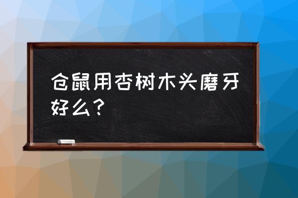 仓鼠磨牙棒哪种木材好 仓鼠用杏树木头磨牙好么？