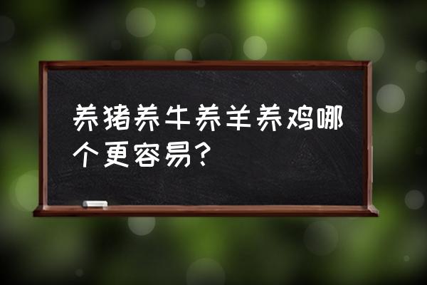 养猪养羊养鸡养牛哪个比较好 养猪养牛养羊养鸡哪个更容易？