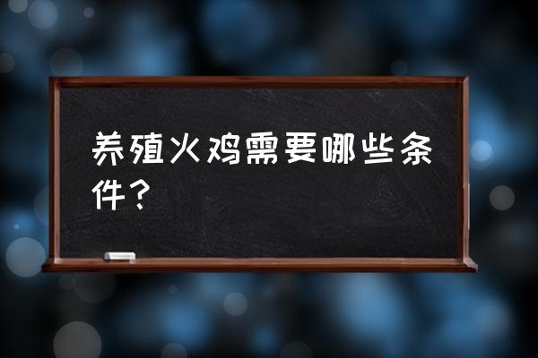 都江堰有火鸡养殖基地吗 养殖火鸡需要哪些条件？