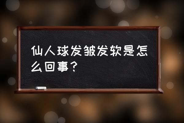 仙人球软了怎么回事 仙人球发皱发软是怎么回事？