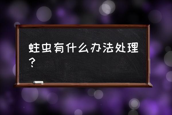 杀虫剂能不能杀咬木头的虫子 蛀虫有什么办法处理？