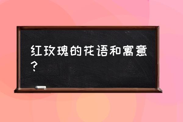 大红色玫瑰花代表什么意思 红玫瑰的花语和寓意？