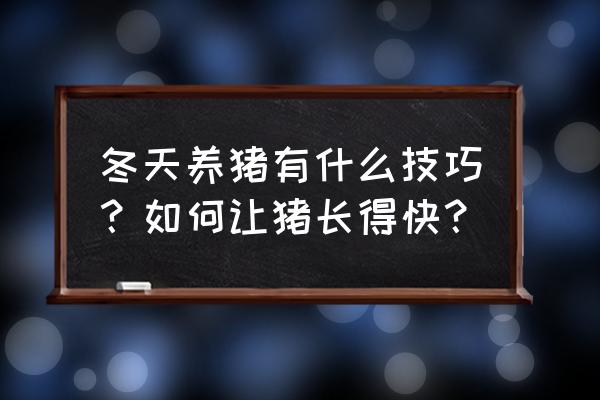 东北冬天养猪怎么样知识 冬天养猪有什么技巧？如何让猪长得快？