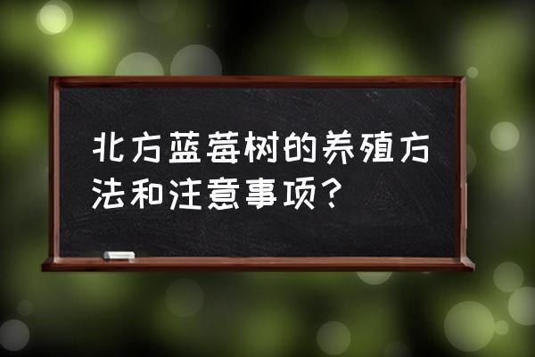 蓝莓用什么复合肥最好 北方蓝莓树的养殖方法和注意事项？