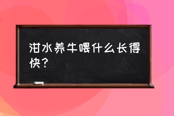 养牛怎么洋菜长得快 泔水养牛喂什么长得快？