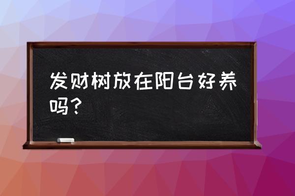 阳台可以放发财树吗 发财树放在阳台好养吗？