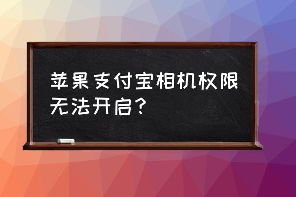 苹果手机怎么允许支付宝访问相机 苹果支付宝相机权限无法开启？