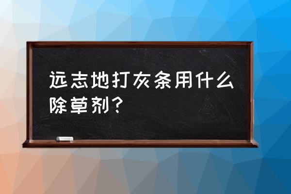 远志地里打什么除草剂 远志地打灰条用什么除草剂？