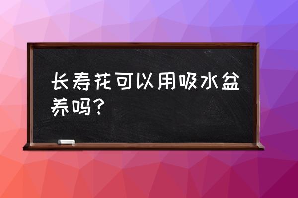 长寿花水养能加复合肥吗 长寿花可以用吸水盆养吗？