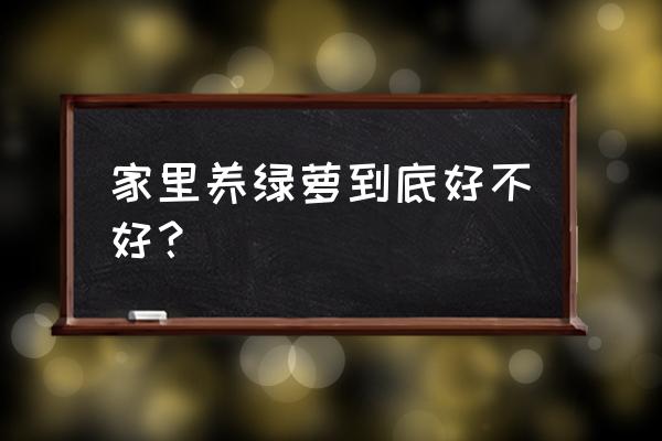 家里绿萝养花好吗 家里养绿萝到底好不好？