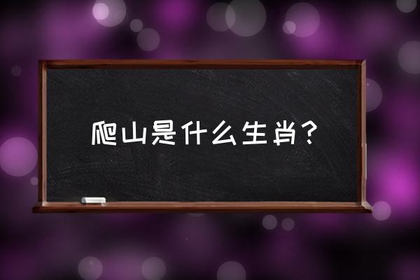 什么生肖能爬山 爬山是什么生肖？