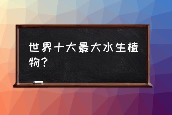 大型水培植物有哪些 世界十大最大水生植物？