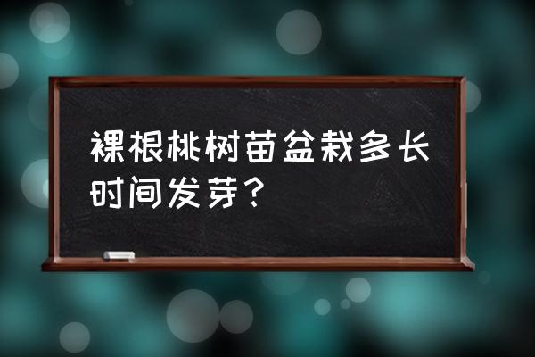 盆栽果树多久可以发芽 裸根桃树苗盆栽多长时间发芽？