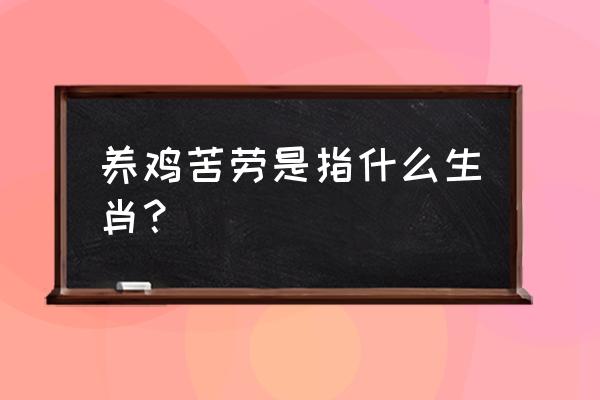 哪些生肖易养鸡 养鸡苦劳是指什么生肖？