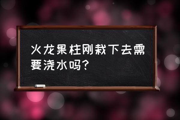 刚栽的火龙果树多久浇一次水 火龙果柱刚栽下去需要浇水吗？