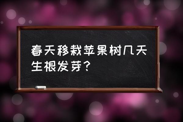 盆栽苹果树多久才能发芽 春天移栽苹果树几天生根发芽？