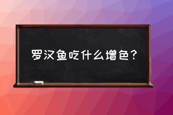 什么饲料喂罗汉鱼增色好 罗汉鱼吃什么增色？